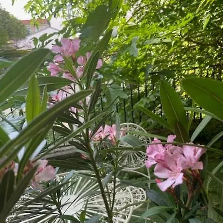 Apartmán And Its Garden, *